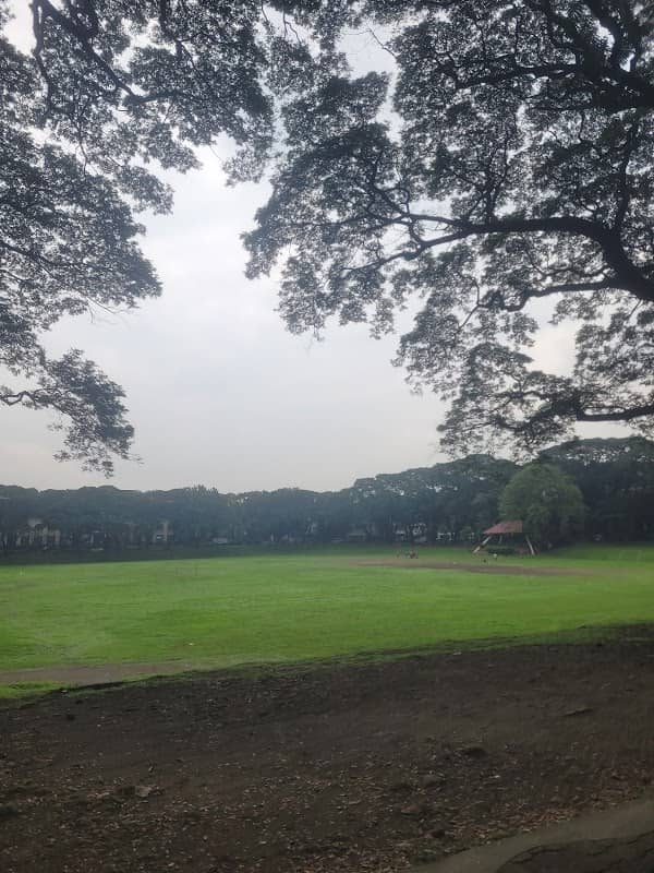 Sunken Garden - Image 1