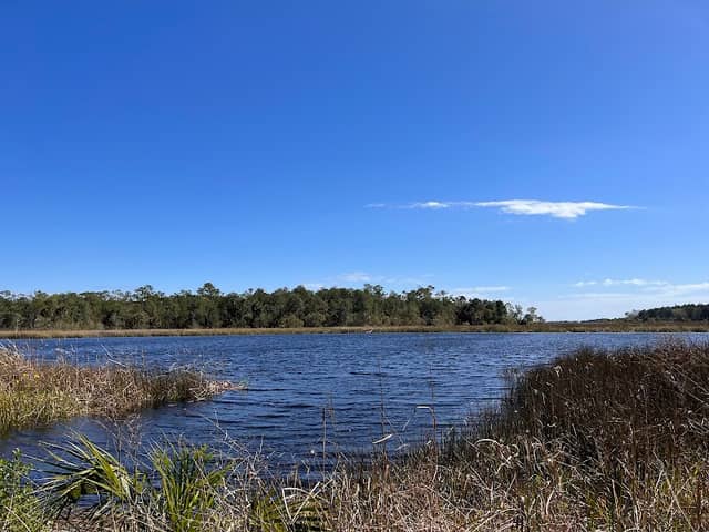 St Marks River Park - Image 3