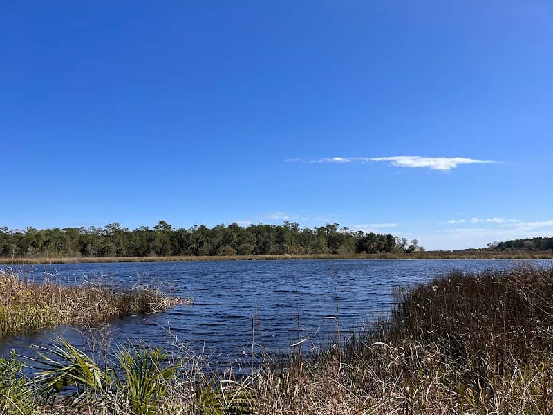 St Marks River Park - Image 3