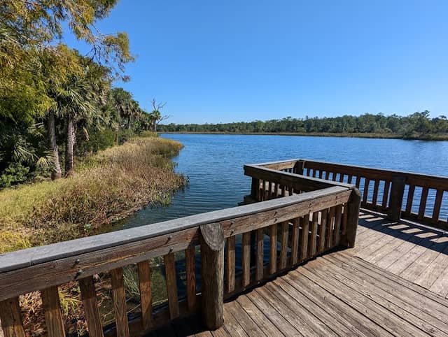 St Marks River Park - Image 1