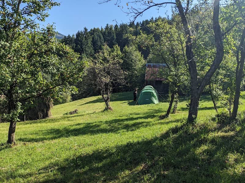Gradina lui Vasile Săceanu - Image 2