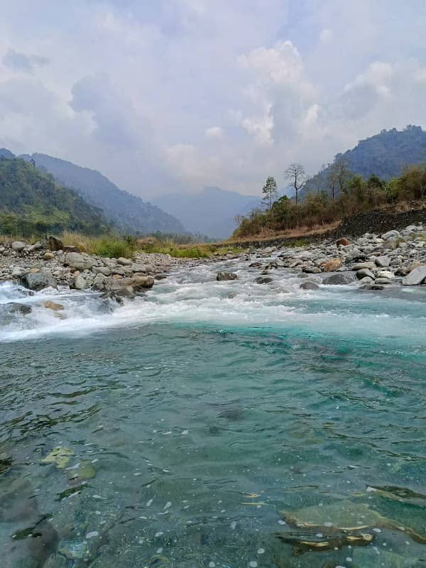 Roing - Image 1