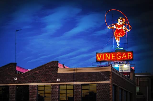 Vinegar girl - Image 1