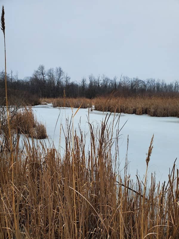 Jackson Marsh State Natural Area - Image 1