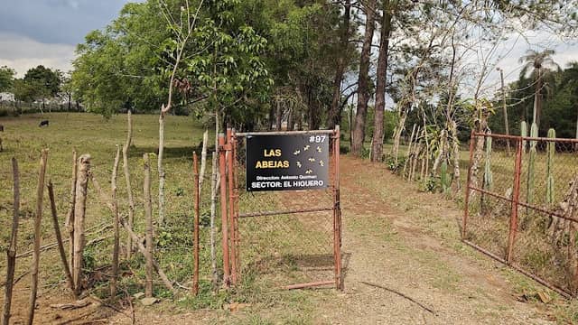 Abejas's - Image 1