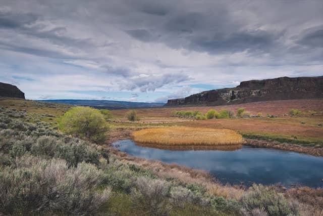 Quincy Lakes Unit: Columbia Basin Wildlife Area - Image 2