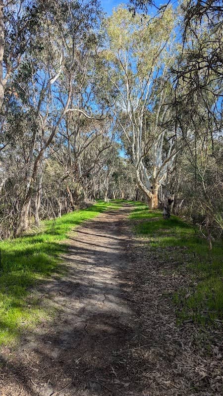 Lake Adams Conservation Reserve - Image 1