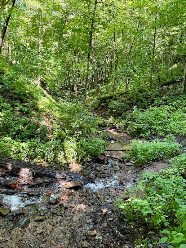 Silverbrook Trail - Image 1