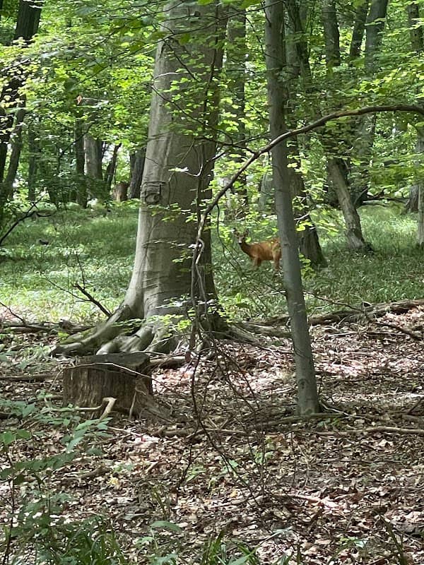 Tretí rybník - Image 2