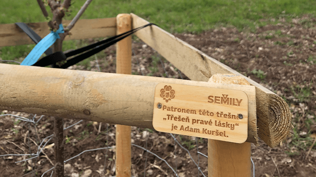 TŘEŠEŇ PRAVÉ LÁSKY - Image 1