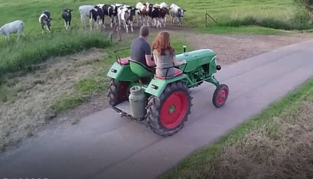 TractorSpoor - Oldtimer tractoren verhuur - Image 1