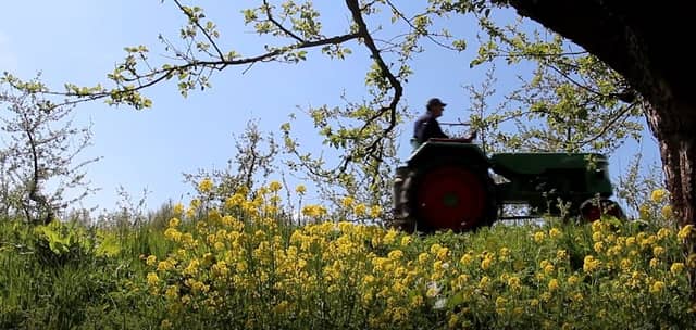 TractorSpoor - Oldtimer tractoren verhuur - Image 2
