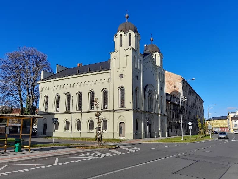 Krnov synagogue - Image 1