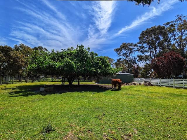 Landsdale Farm - Image 3