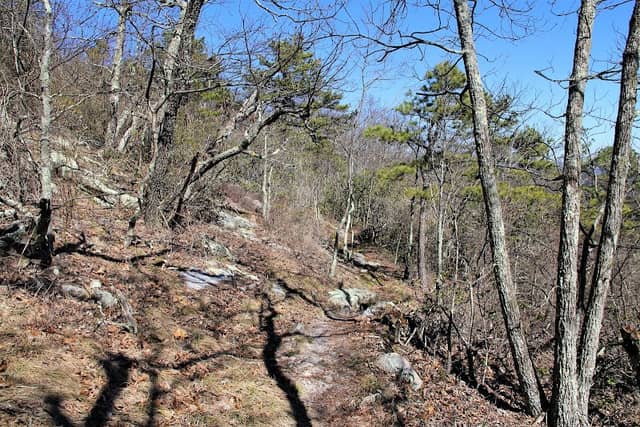 Upper Craig's Creek Road AT Parking - Image 1