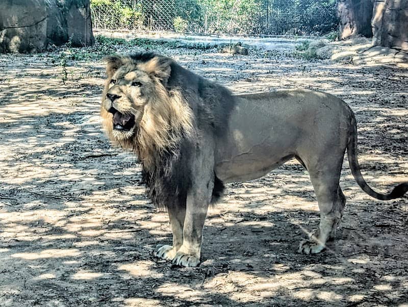 Alexandria Zoological Park - Image 2