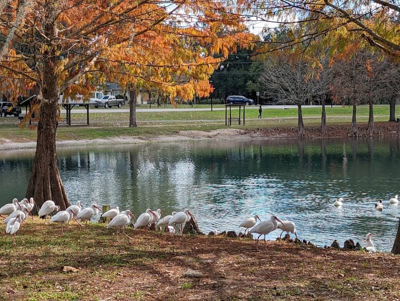 Lake Lillian - Image 2
