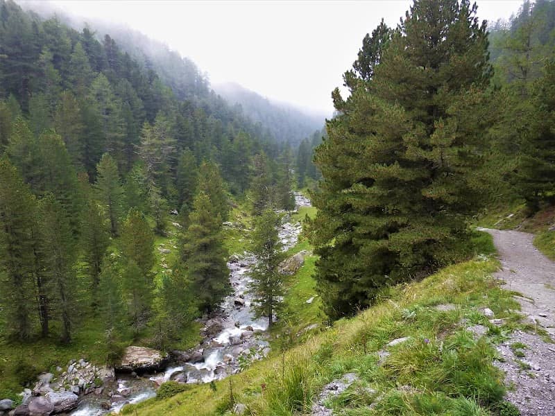 Sentiero rifugio Vallanta - Image 3