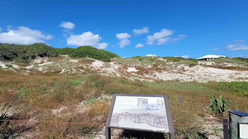 Nana Dune - Tallest in Florida - Image 1