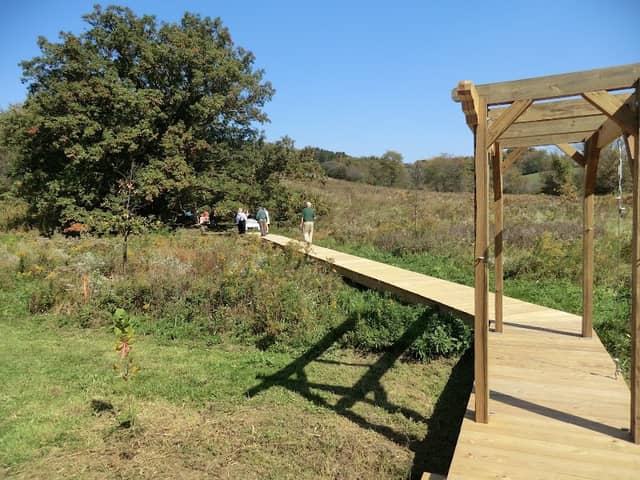 Givens' Grove - Image 2