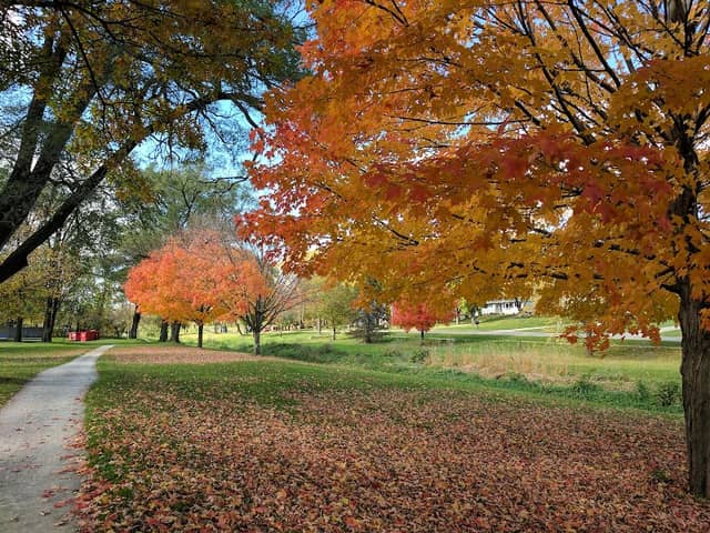 Cherokee Park - Image 2