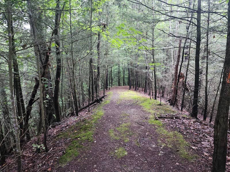 Clark Gully - Image 1