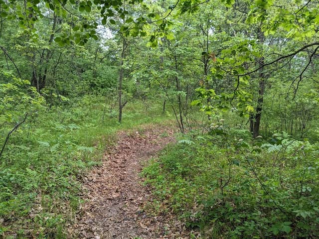 Karner Blue Sanctuary - Image 2