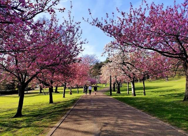 Pontypool Park - Image 1