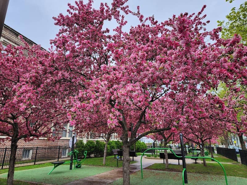 Randolph Park - Image 1