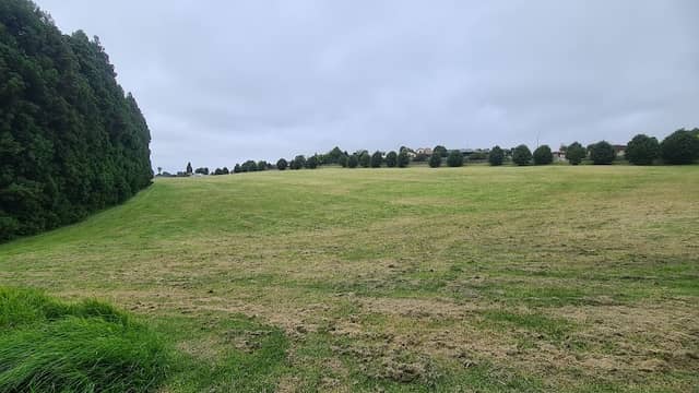 Ohauiti Reserve - Image 1