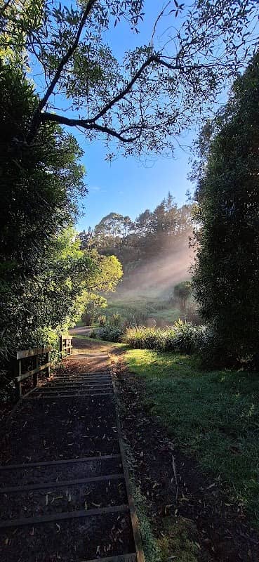 Ohauiti Reserve - Image 2