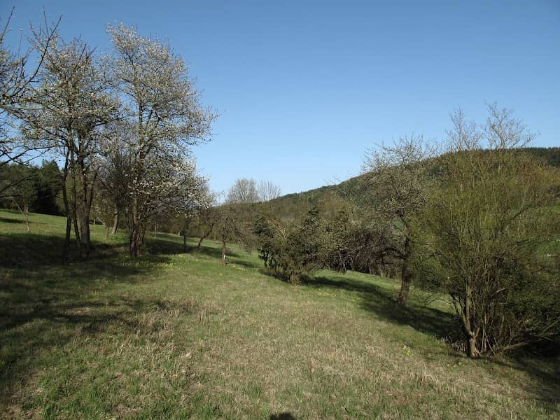 Lötal Nature Reserve - Image 1