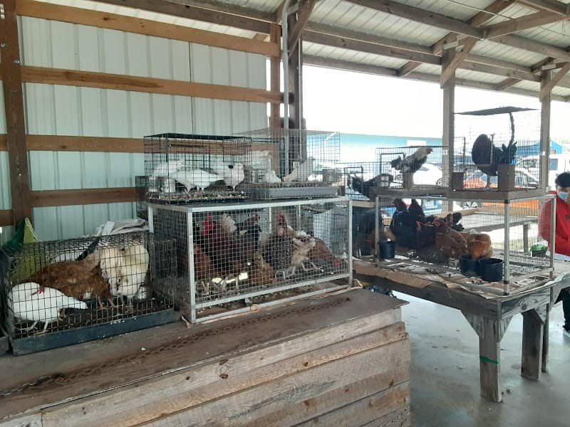 The Barnyard Flea Markets - Image 2