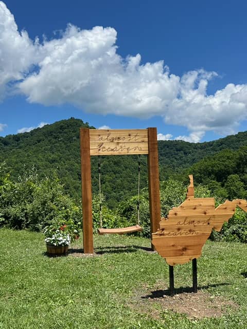 Almost Heaven Swing at Chief Logan State Park - Image 1