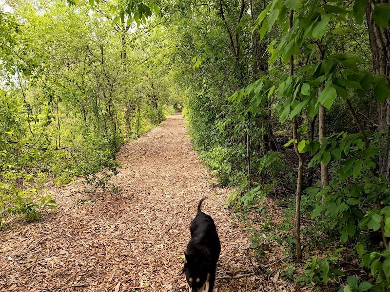 Lake Forest Open Lands: Skokie River Nature Preserve - Image 2