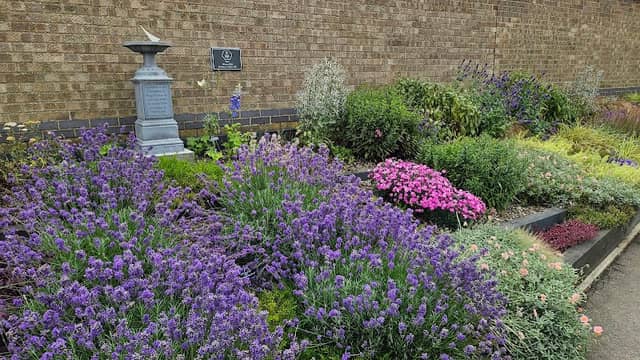 Coronation Garden - Image 1