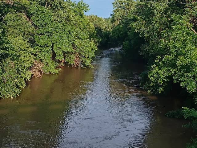 Walnut river trail. Trailhead - Image 1