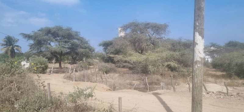 Bosque - Image 1