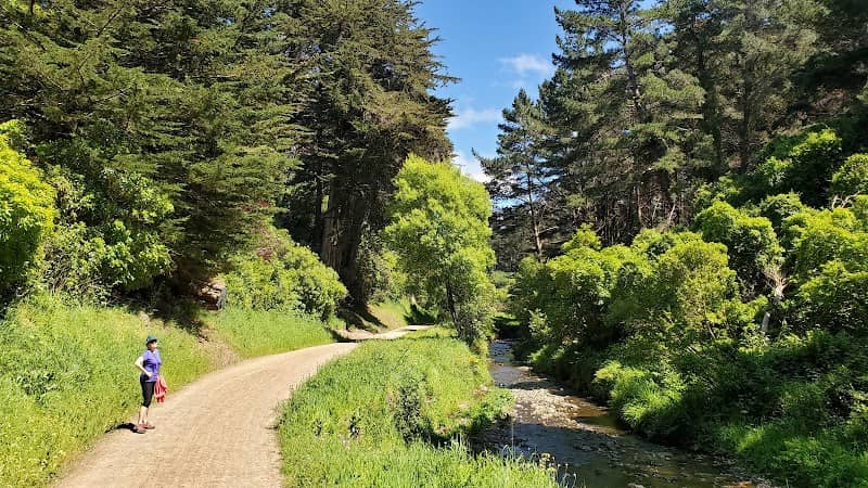 Bothamley Park - Image 1