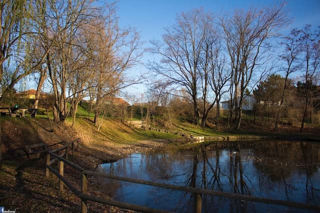 Obstgarten - Image 3