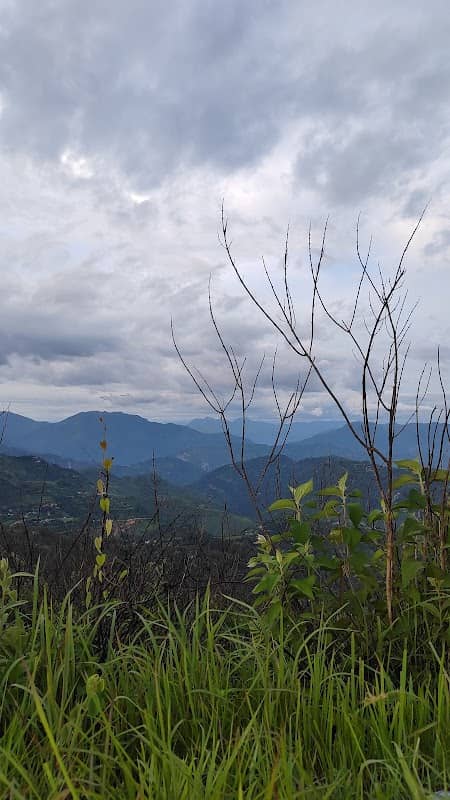 View point - Image 1