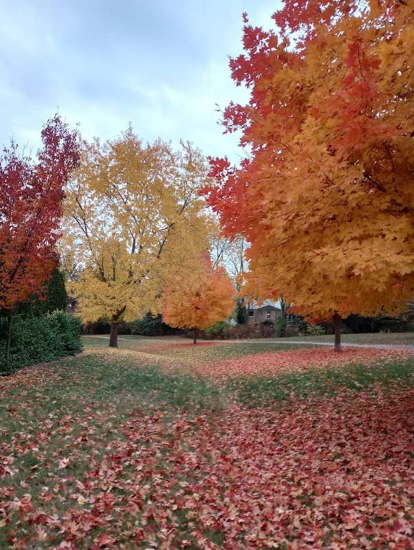 Eby Park - Image 2