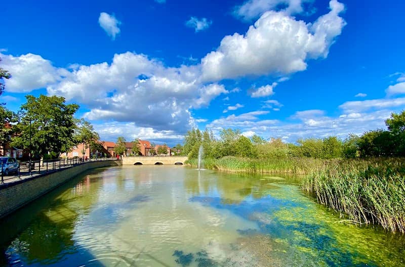 Wake Pond - Image 1
