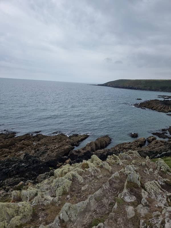 CazzieMarcViewpointBallyandreen - Image 1