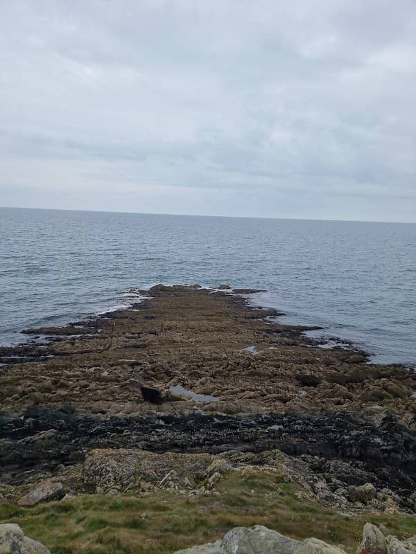 CazzieMarcViewpointBallyandreen - Image 2