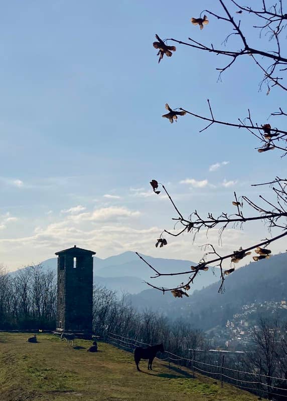 Torre di avvistamento - Image 1