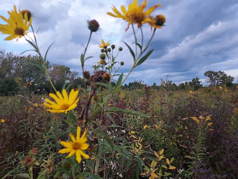 Cressmoor Prairie Nature Preserve - Image 2
