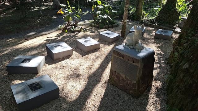 Cemitério dos Gatos Edith Gaerthner - Image 1