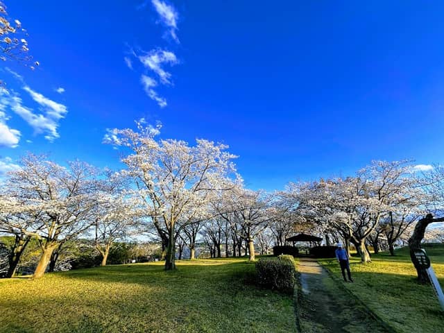 Sotokoshiro Park - Image 1
