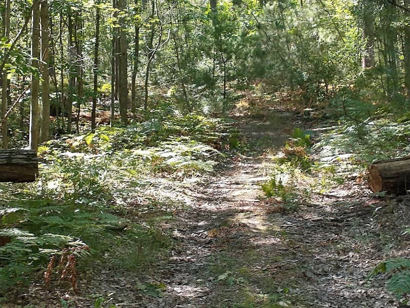 Hubbard Lake Nature Preserve - Image 1